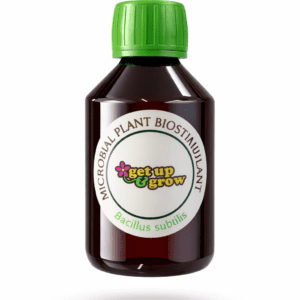 Bacillus Subtilis biostimulant 233ml